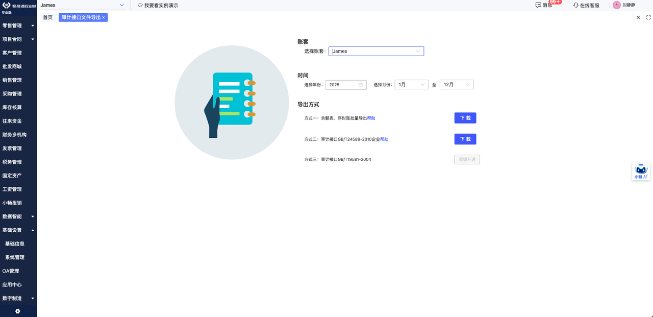 Audit interface export dialog producing compliant XML and JSON financial files