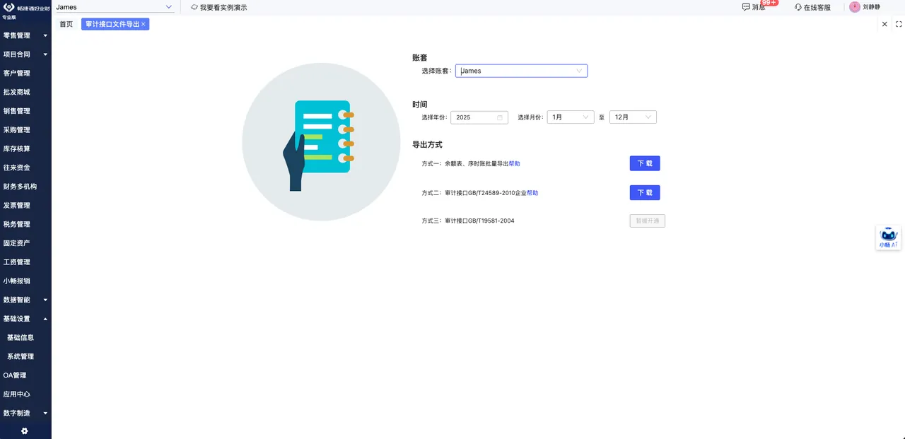 Audit interface export dialog producing compliant XML and JSON financial files